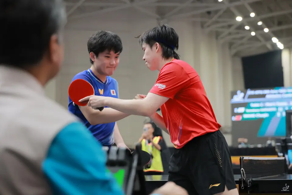 王皓挥拳释 王皓挥拳释